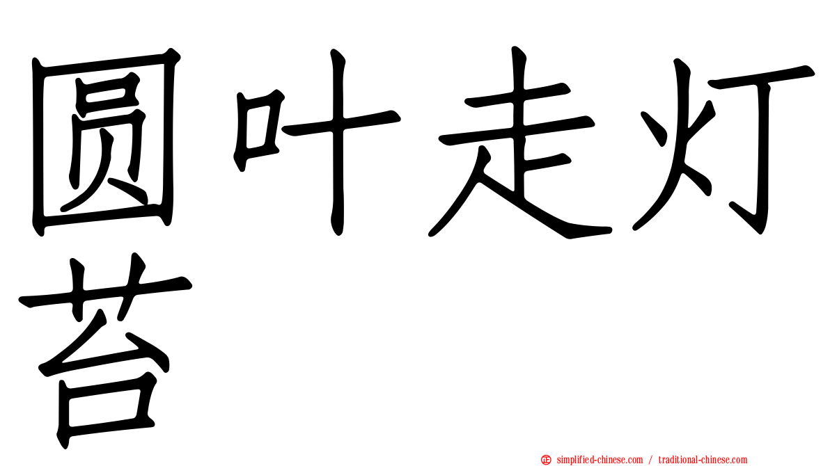 圆叶走灯苔