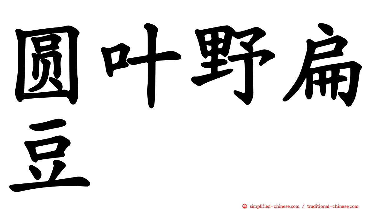 圆叶野扁豆
