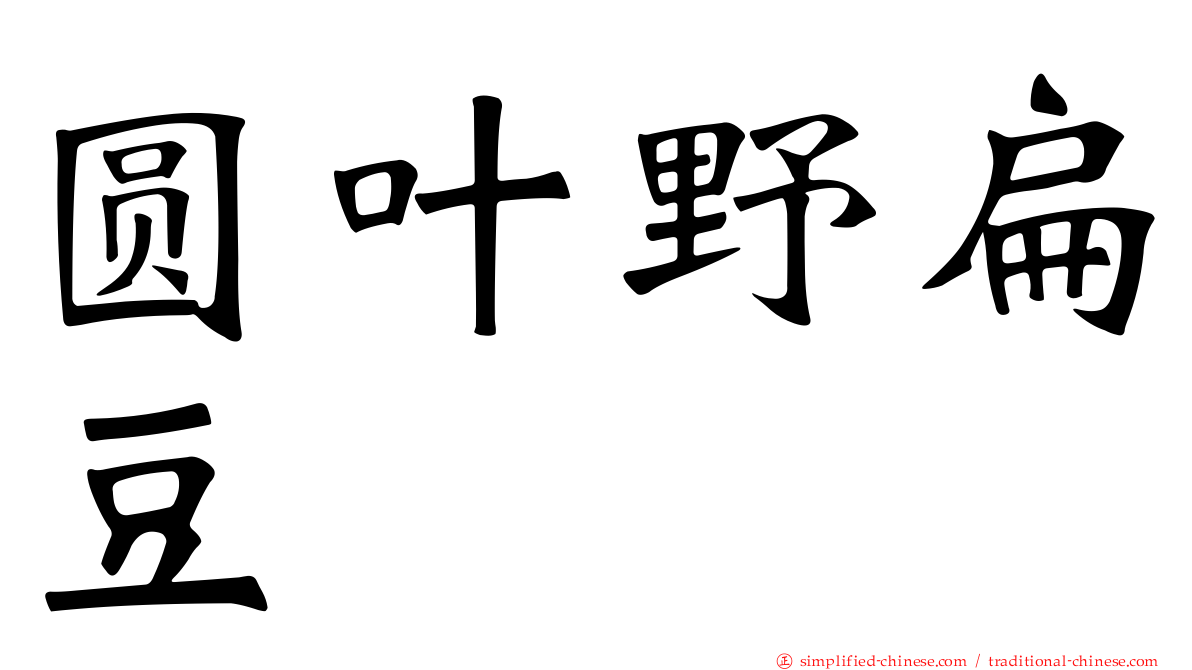 圆叶野扁豆