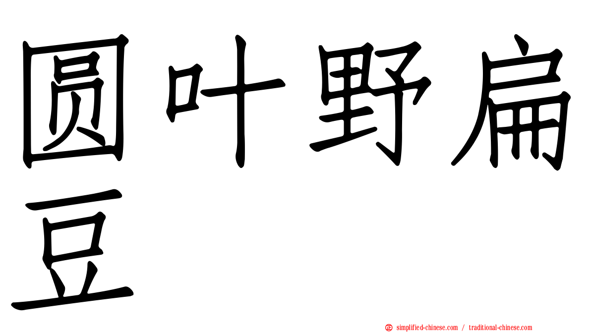 圆叶野扁豆