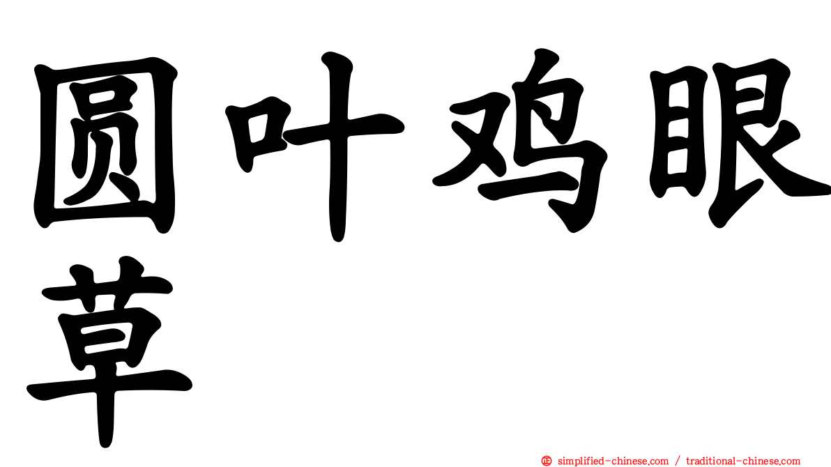 圆叶鸡眼草