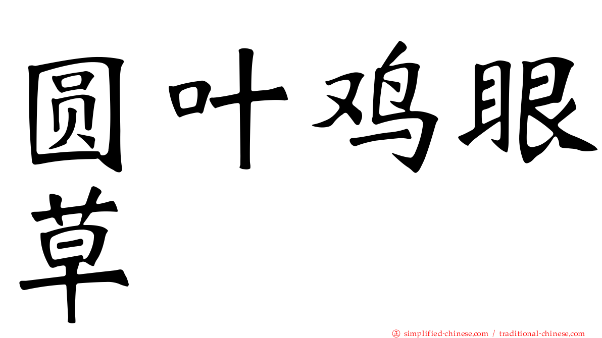 圆叶鸡眼草