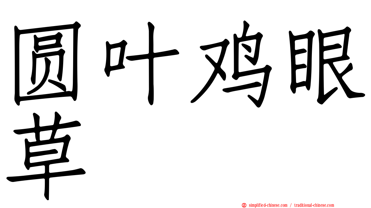 圆叶鸡眼草