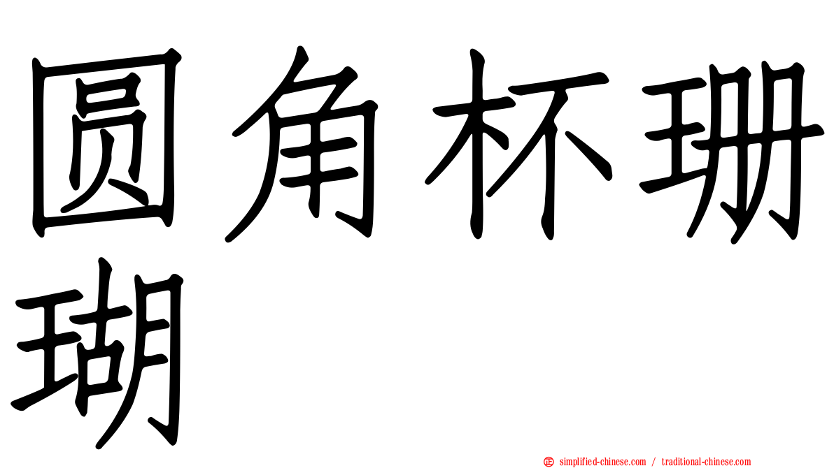 圆角杯珊瑚