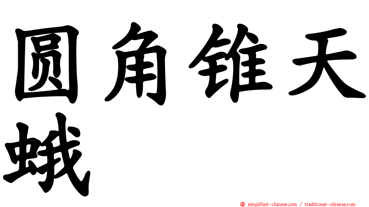 圆角锥天蛾