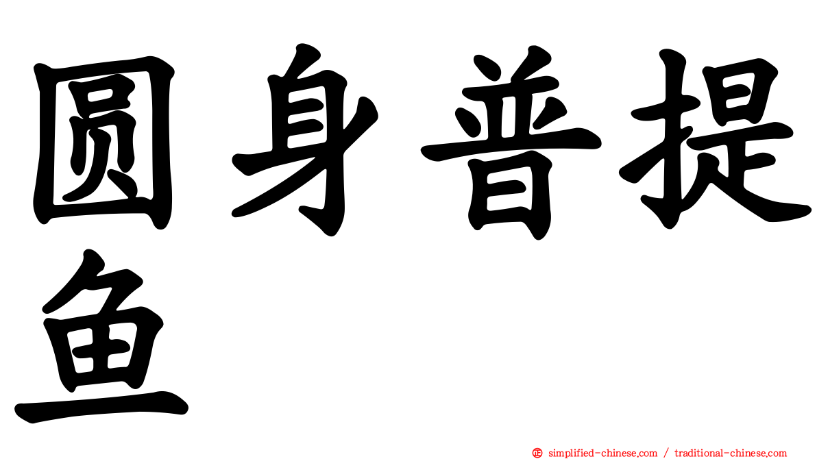 圆身普提鱼