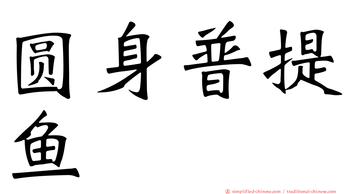 圆身普提鱼