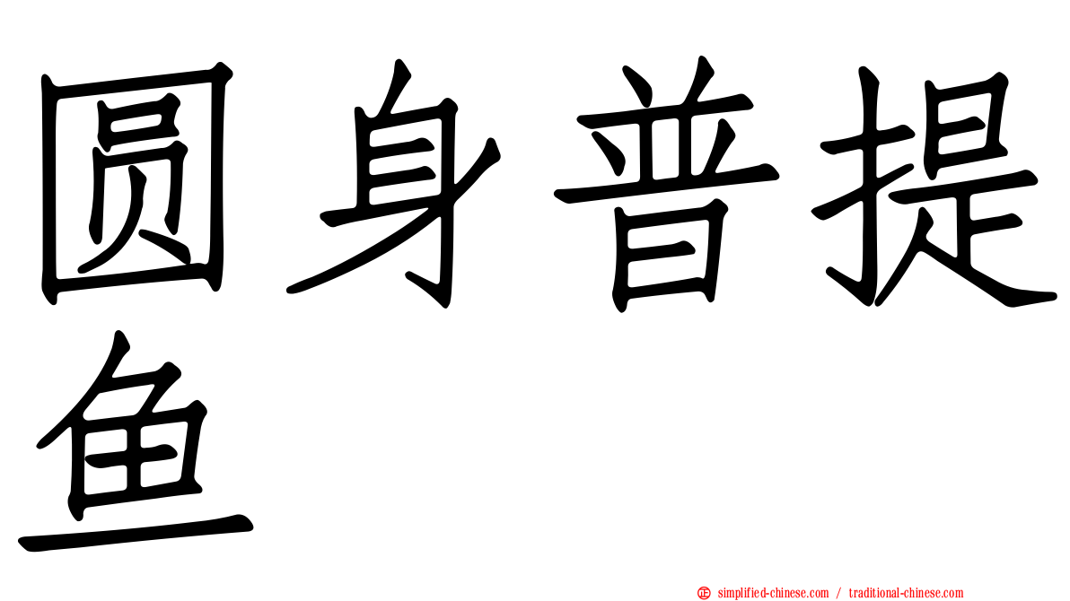 圆身普提鱼