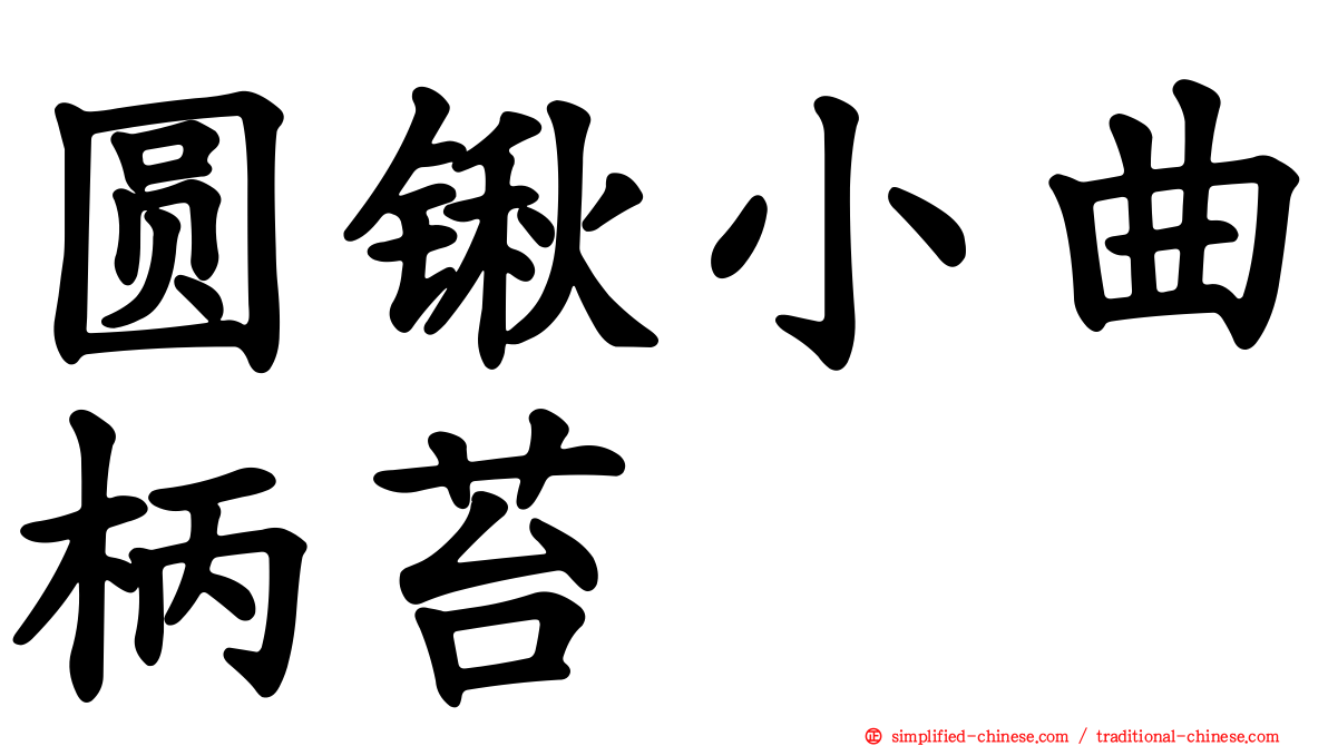 圆锹小曲柄苔