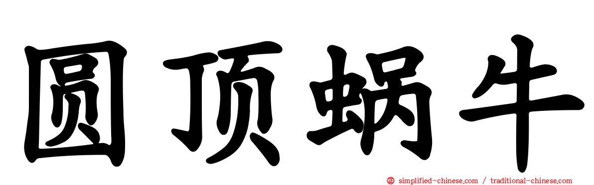 圆顶蜗牛