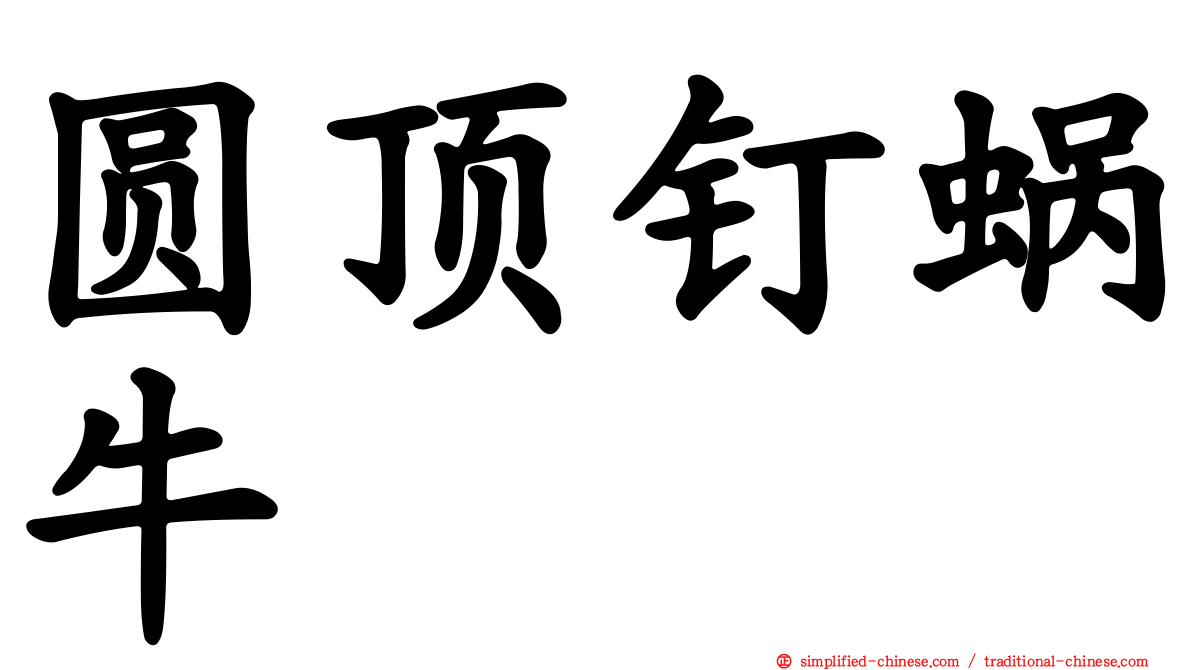 圆顶钉蜗牛