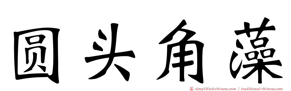 圆头角藻