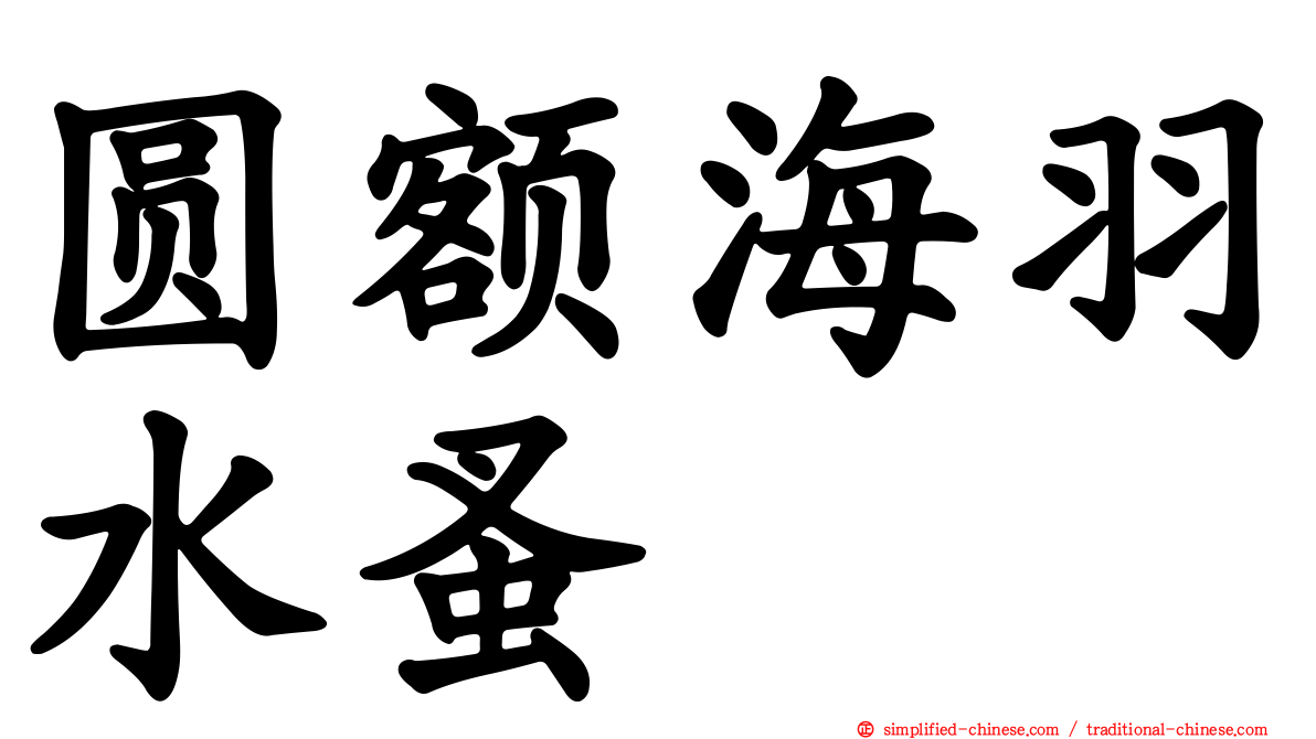 圆额海羽水蚤