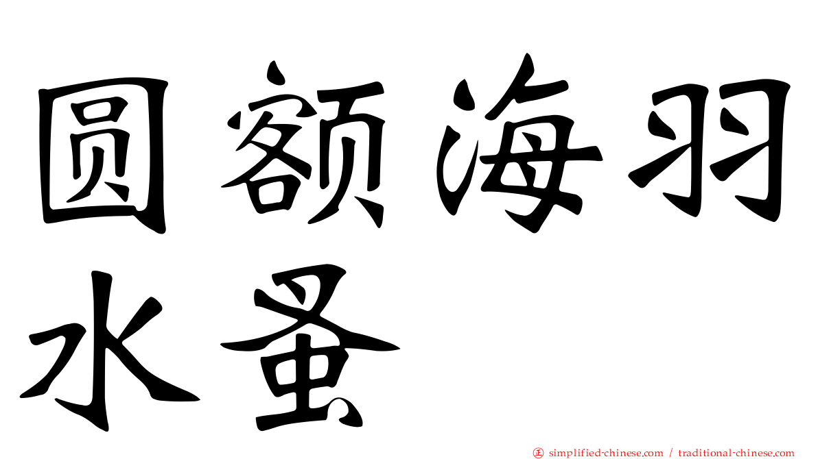 圆额海羽水蚤