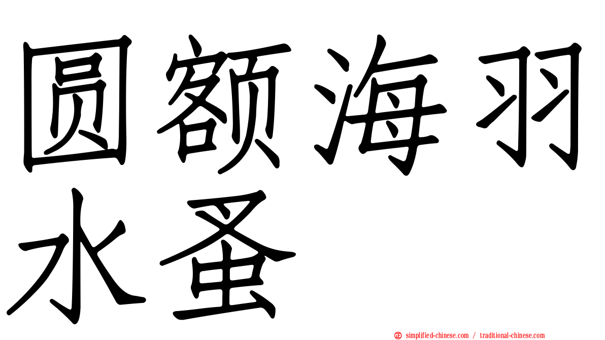 圆额海羽水蚤
