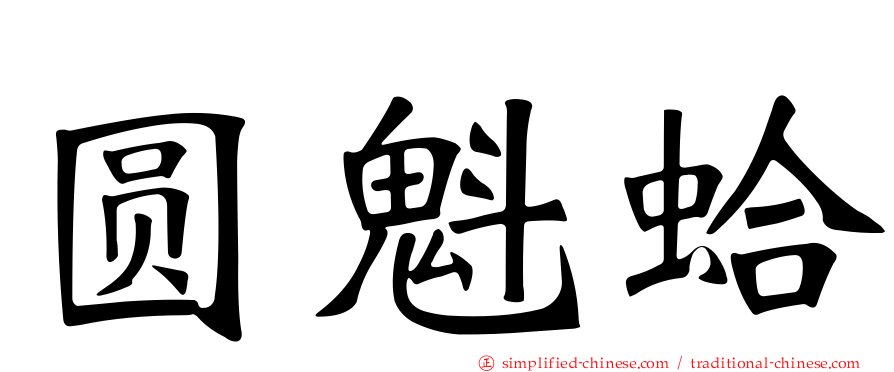 圆魁蛤