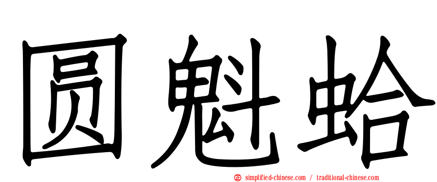 圆魁蛤