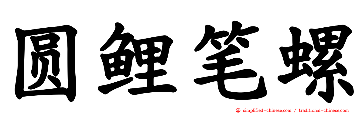 圆鲤笔螺