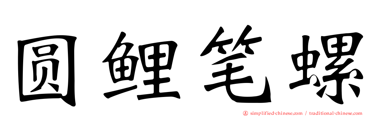圆鲤笔螺
