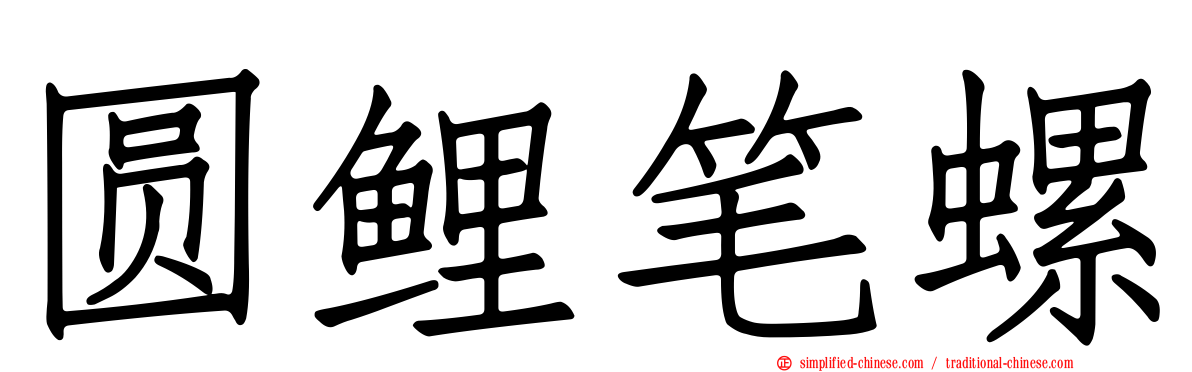 圆鲤笔螺