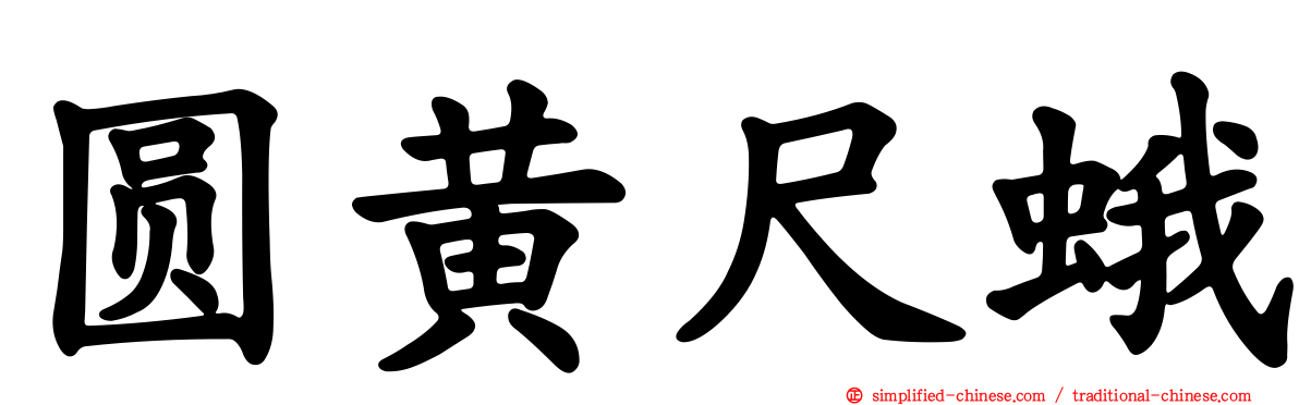 圆黄尺蛾