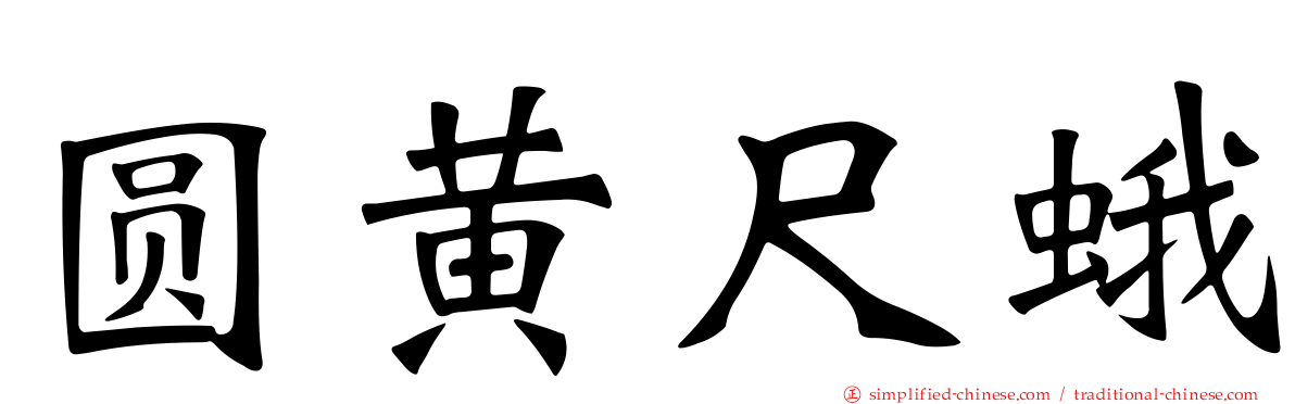 圆黄尺蛾