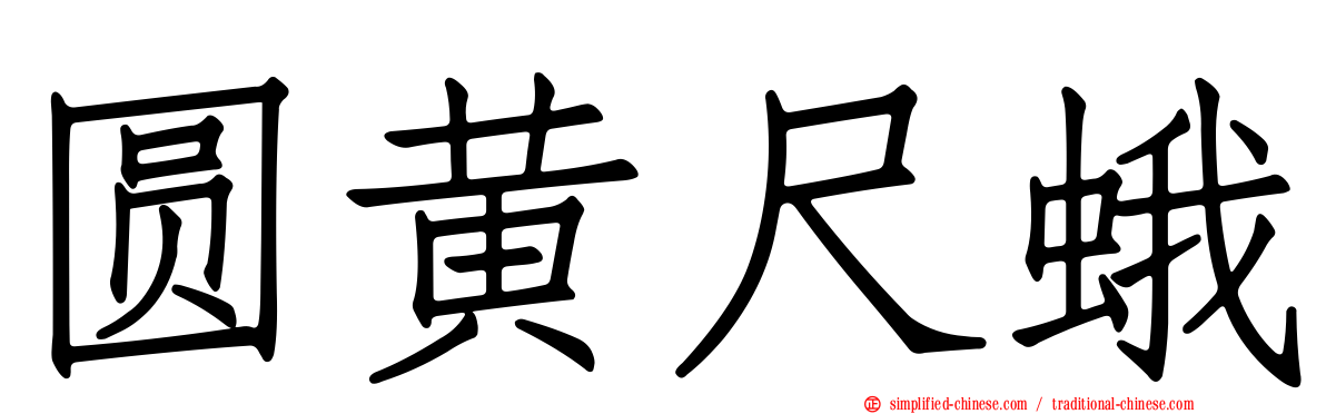 圆黄尺蛾