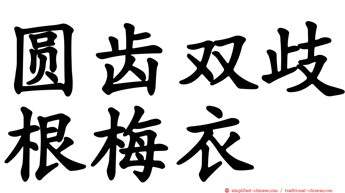 圆齿双歧根梅衣