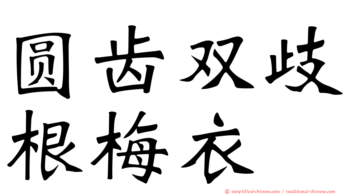 圆齿双歧根梅衣
