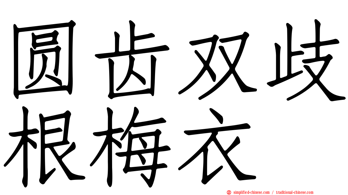 圆齿双歧根梅衣