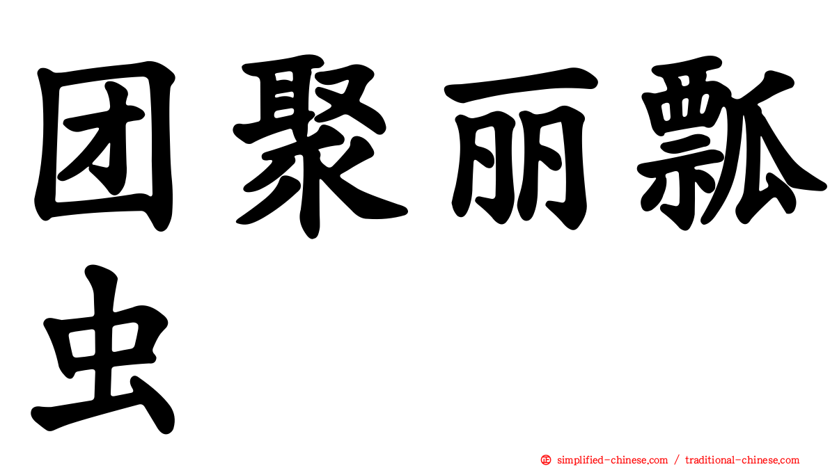 团聚丽瓢虫