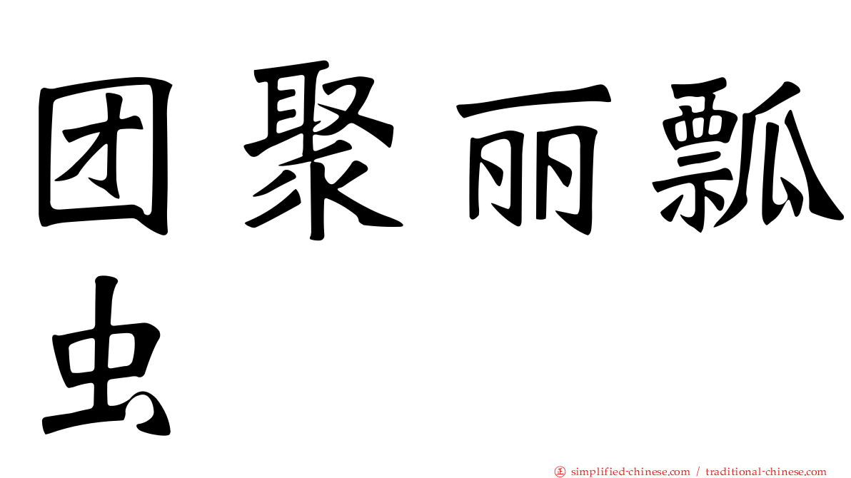 团聚丽瓢虫
