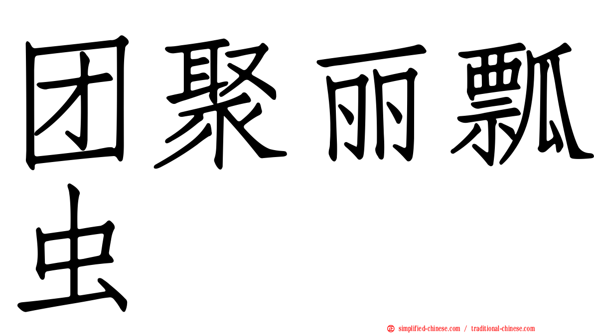 团聚丽瓢虫