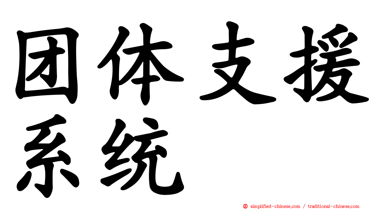 团体支援系统