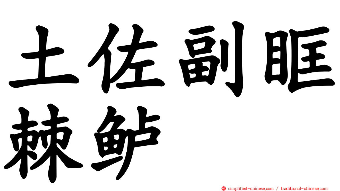 土佐副眶棘鲈