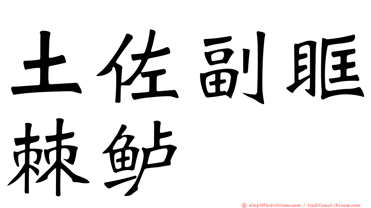 土佐副眶棘鲈