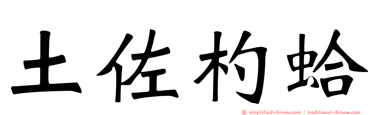土佐杓蛤