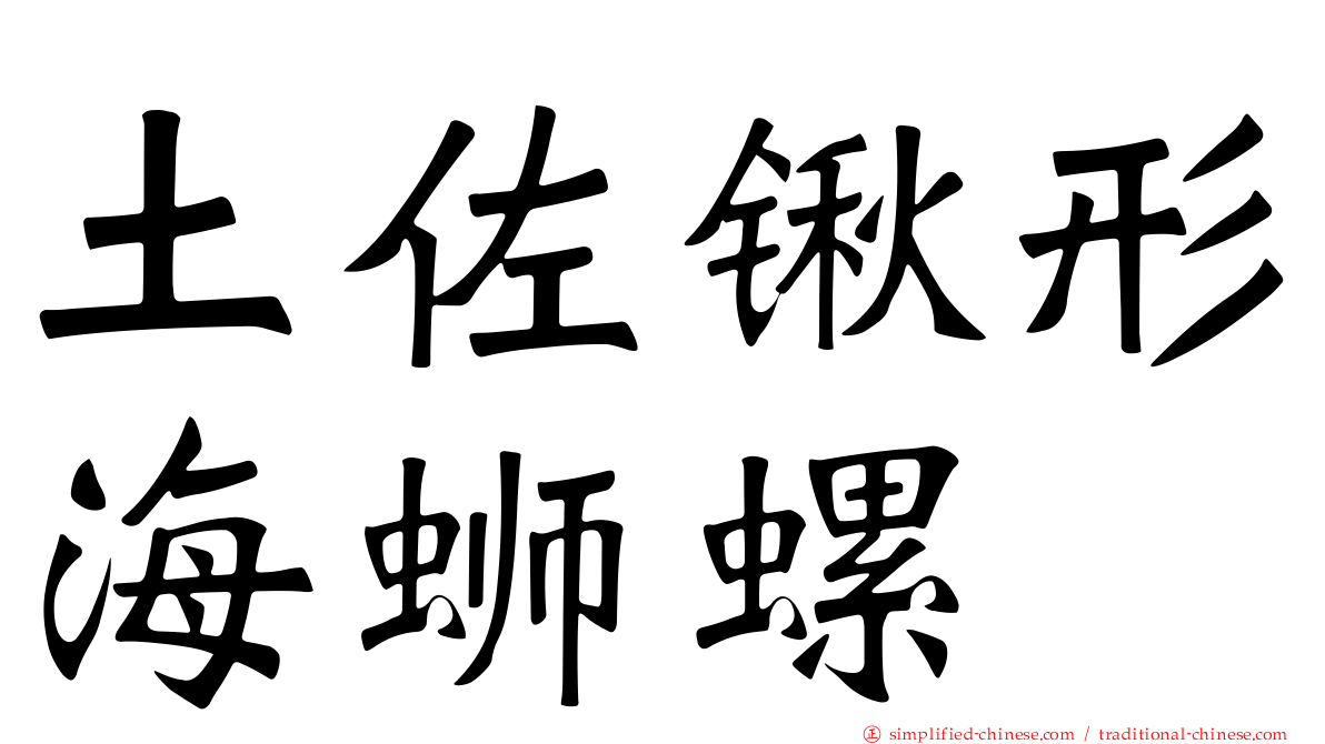 土佐锹形海蛳螺