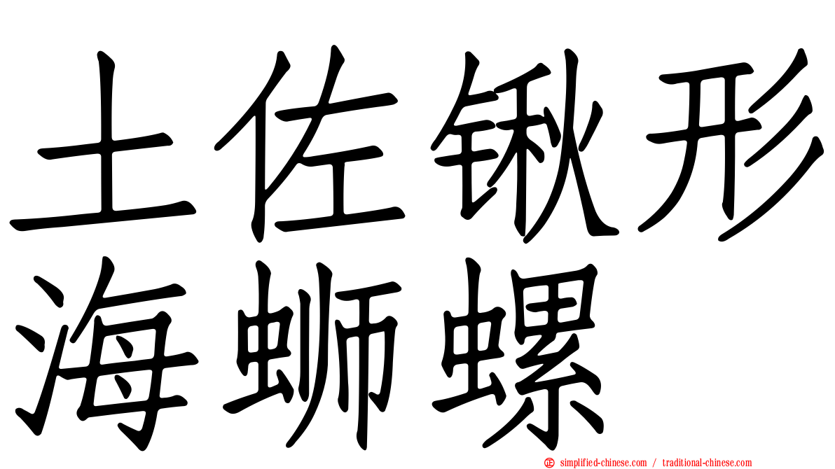 土佐锹形海蛳螺