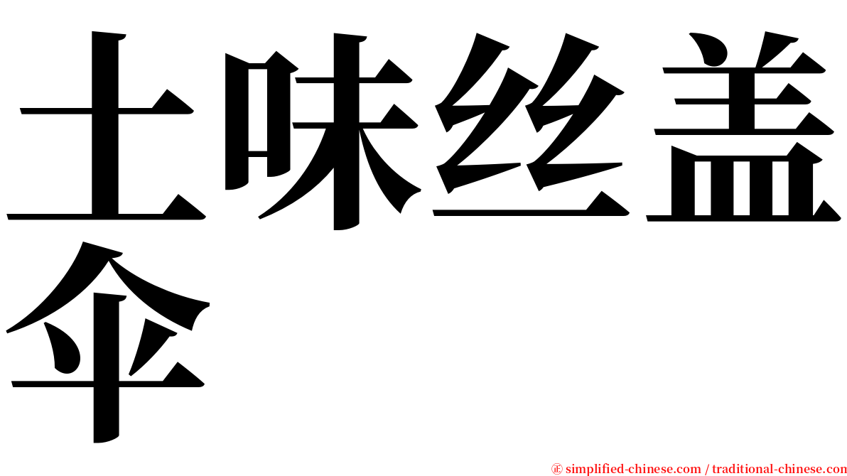 土味丝盖伞 serif font