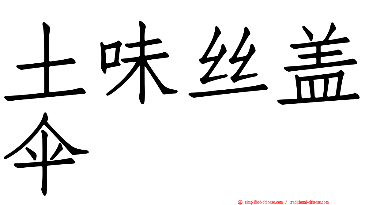 土味丝盖伞