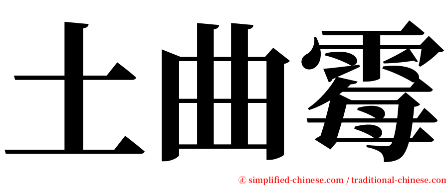 土曲霉 serif font