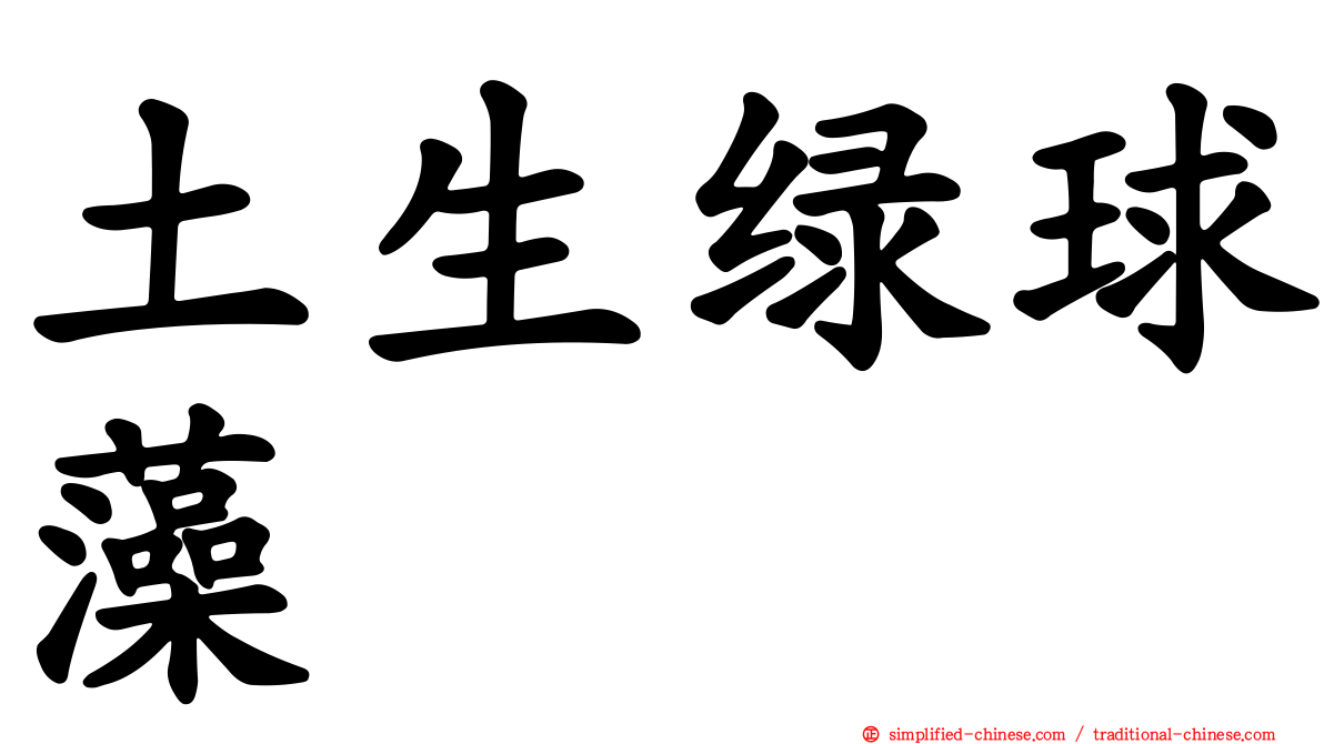 土生绿球藻