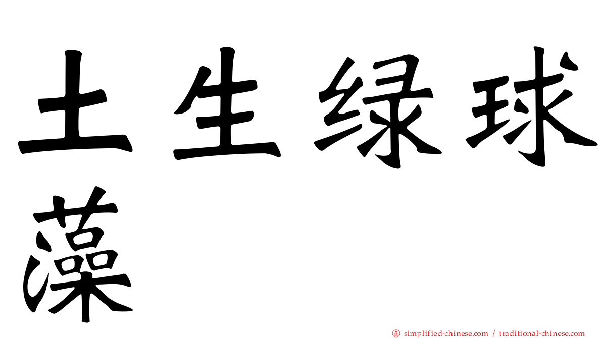 土生绿球藻