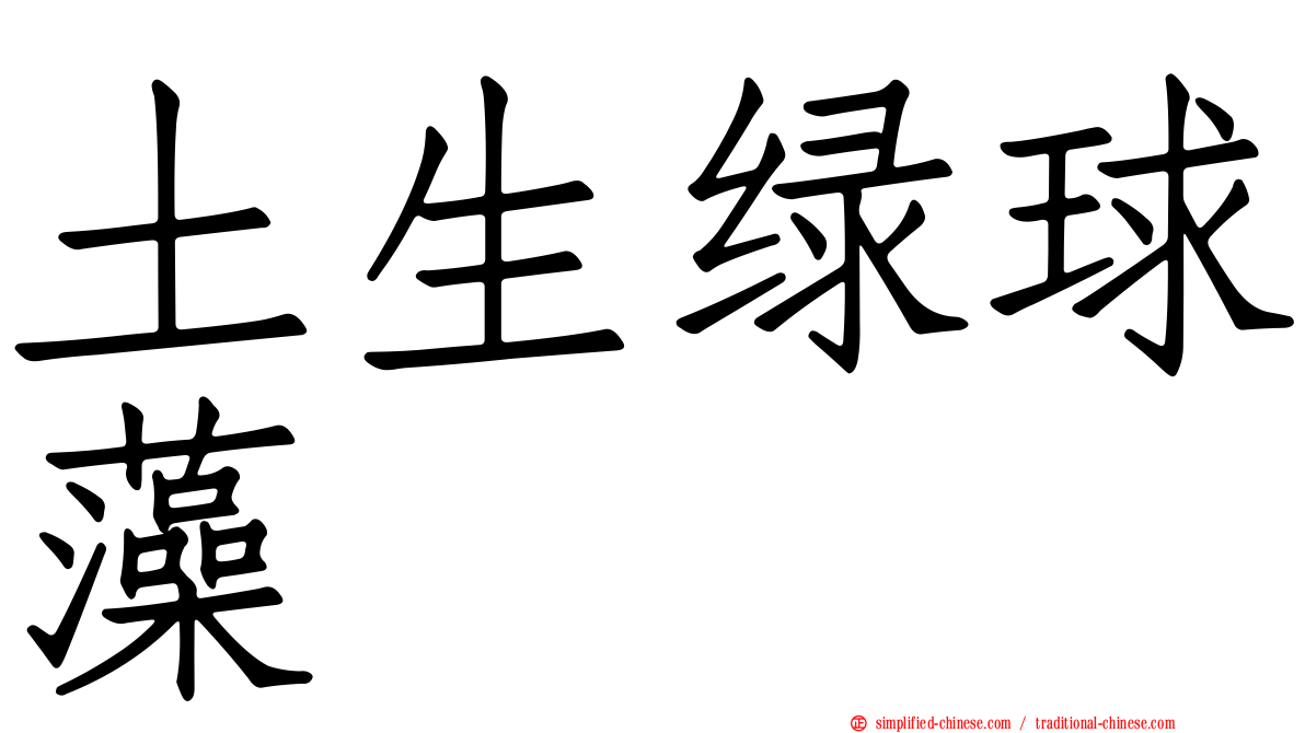 土生绿球藻