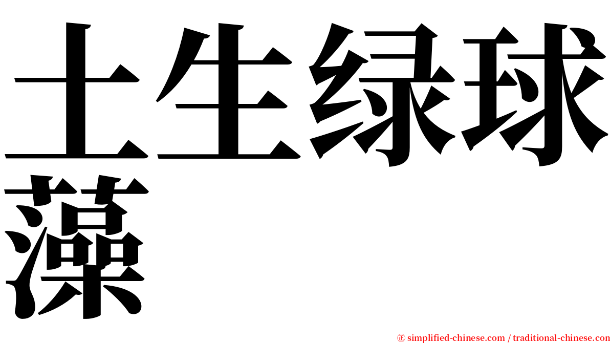 土生绿球藻 serif font