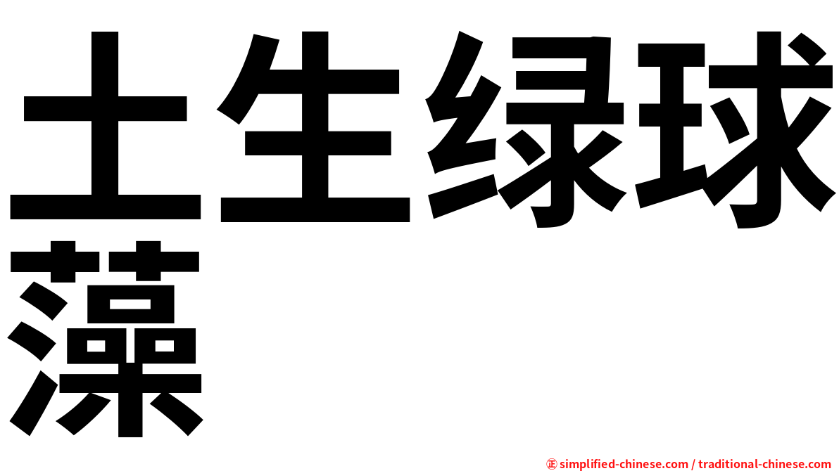 土生绿球藻