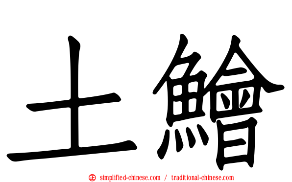 土鲙