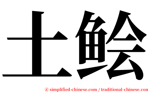 土鲙 serif font