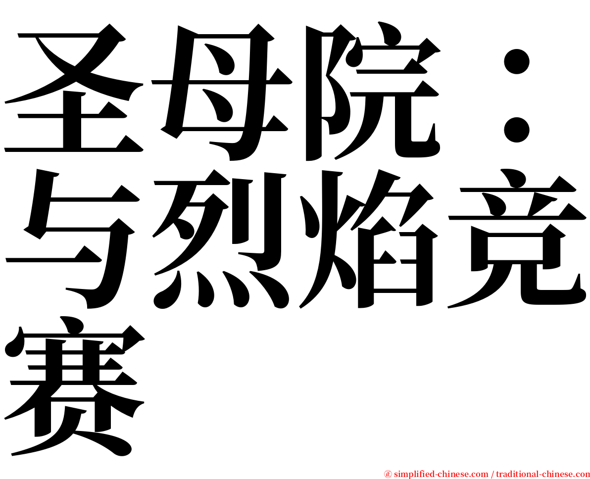 圣母院：与烈焰竞赛 serif font